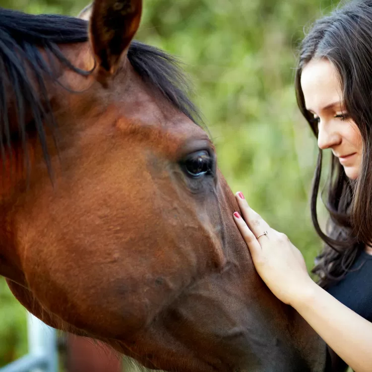 Woman stroking horse whilst on wellness retreat in Marlow near London