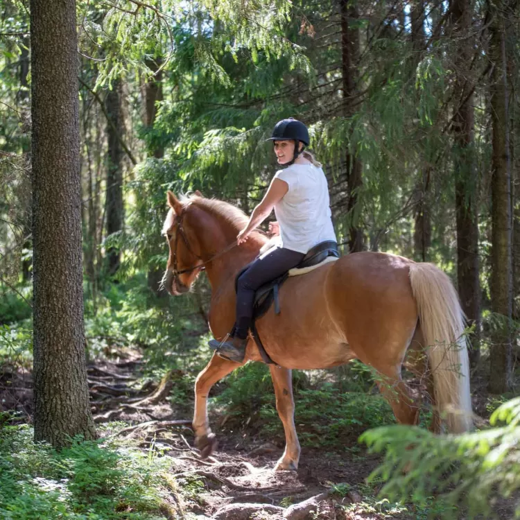 Horse Ridding whilst on holiday in Marlow